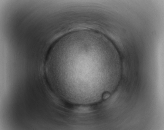 X0000092091497200709262113