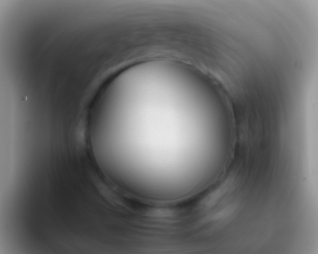 X0000092091499200709262113