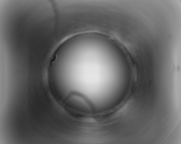 X0000092091500200709262113