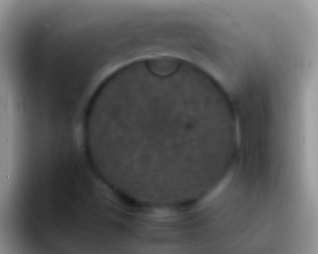 X0000092091501200709262113