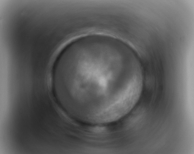 X0000092091503200709262113