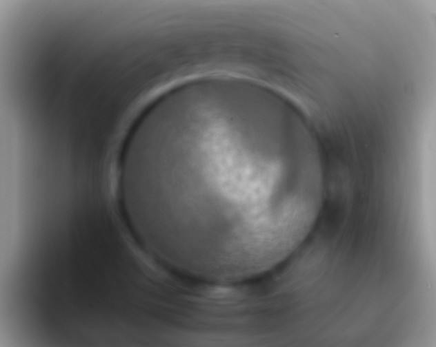 X0000092091507200709262113