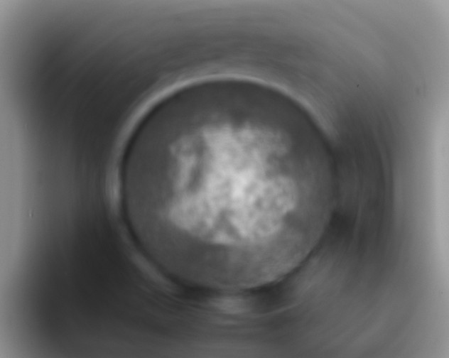 X0000092091511200709262113