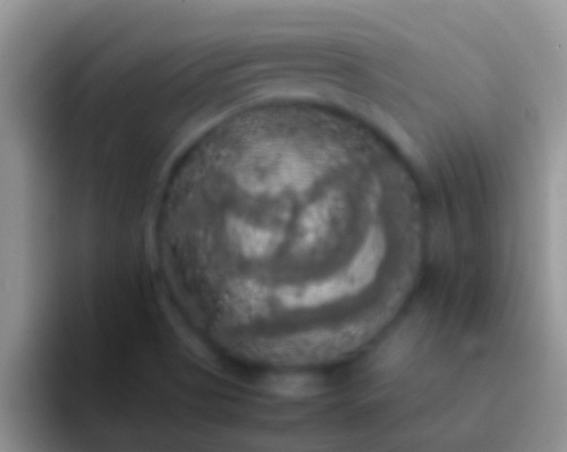 X0000092091513200709262113