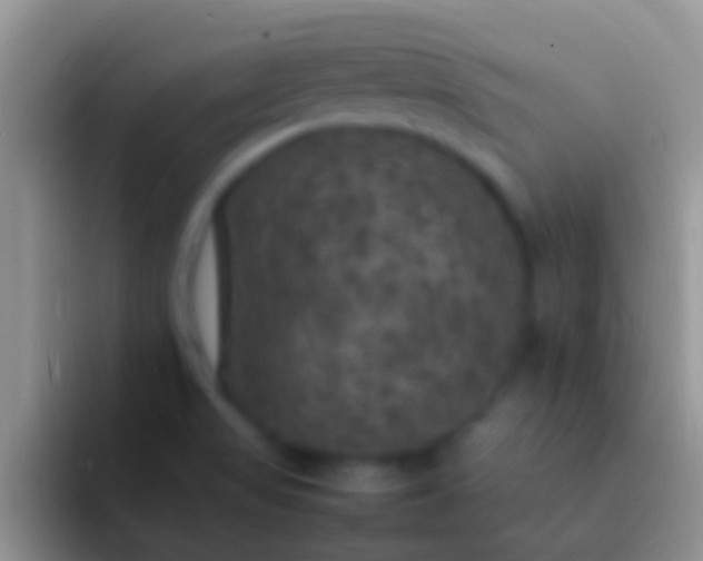 X0000092091517200709262113