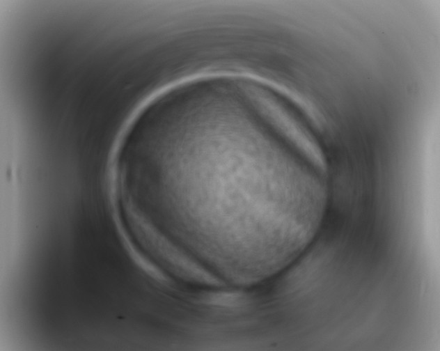 X0000092091519200709262113