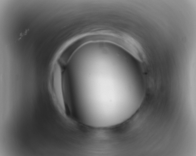 X0000092091520200709262113