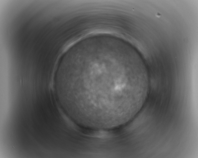 X0000092091521200709262113