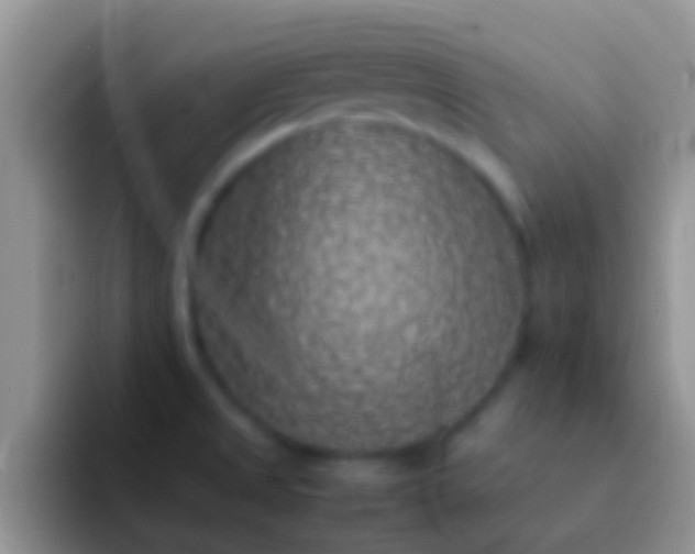 X0000092091525200709262113