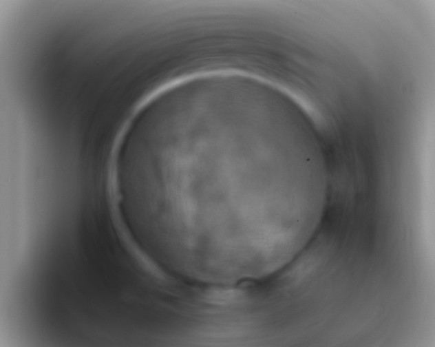 X0000092091526200709262113