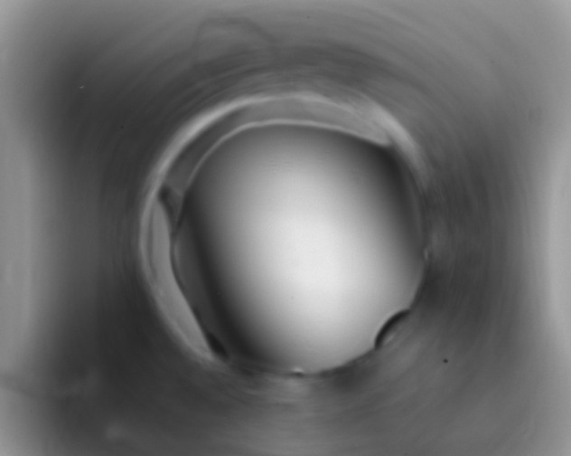 X0000092091528200709262114