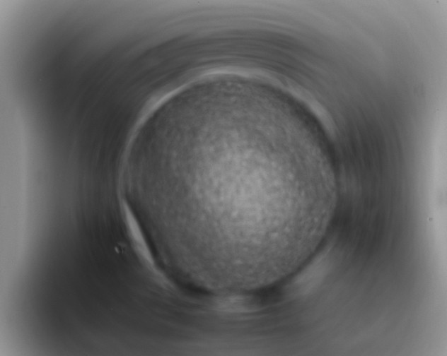 X0000092091529200709262114