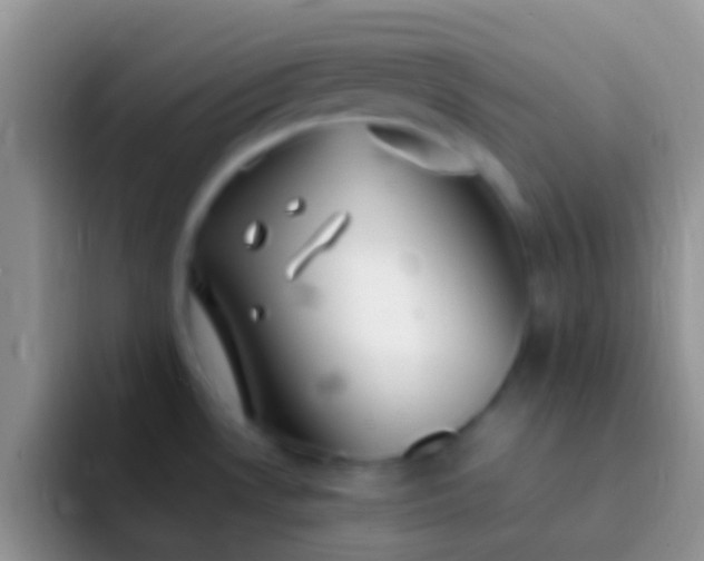 X0000092091530200709262114