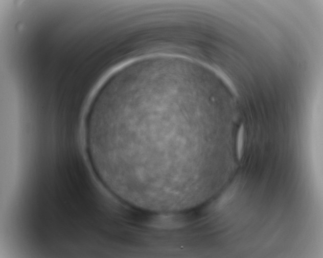 X0000092091531200709262114