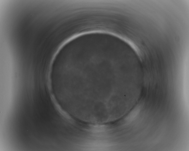 X0000092091534200709262114