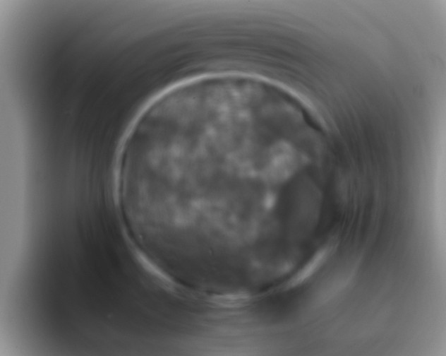 X0000092091535200709262114