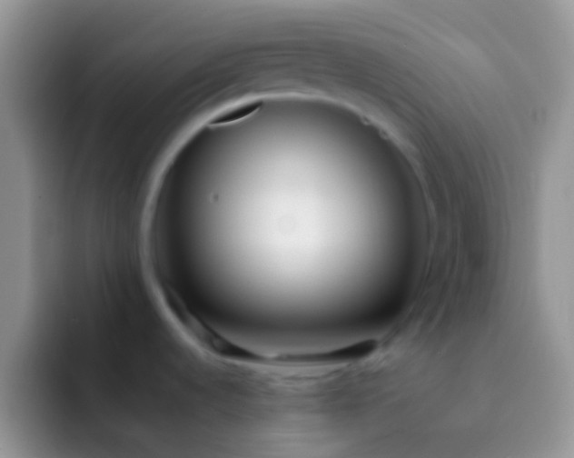 X0000092091536200709262114