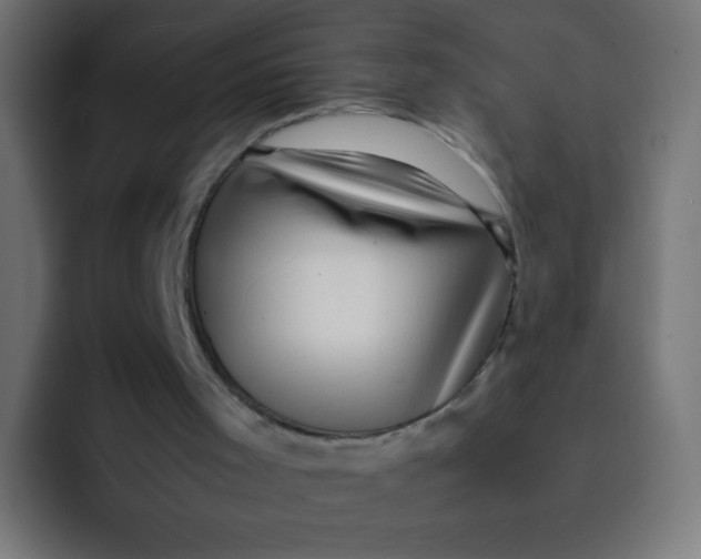 X0000092090001200710031203