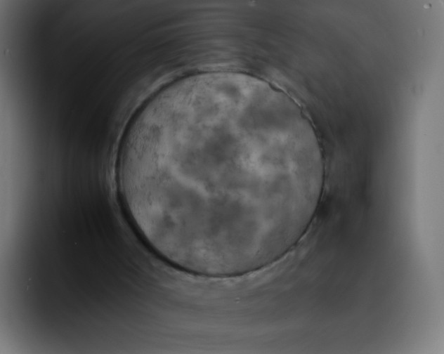 X0000092090002200710031203