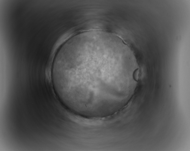 X0000092090004200710031203