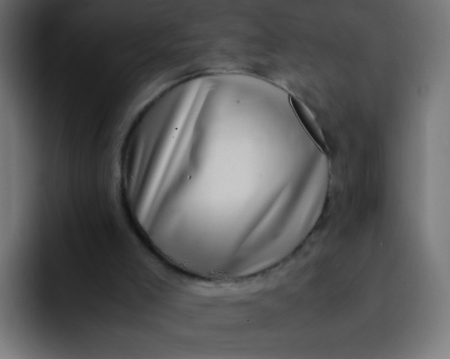 X0000092090005200710031203