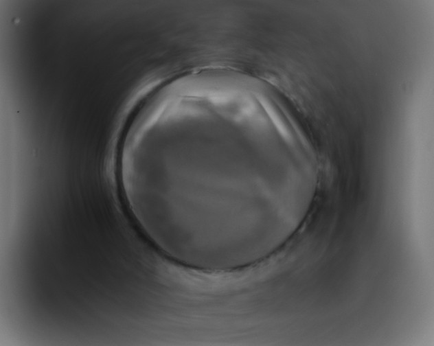 X0000092090006200710031202