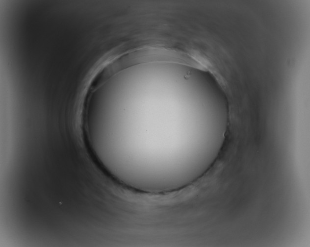 X0000092090007200710031202