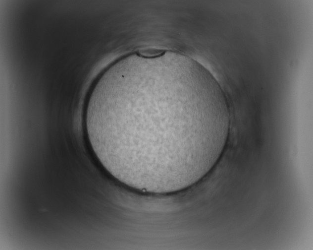 X0000092090008200710031202