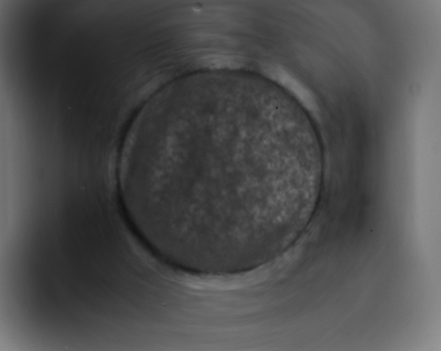 X0000092090009200710031202