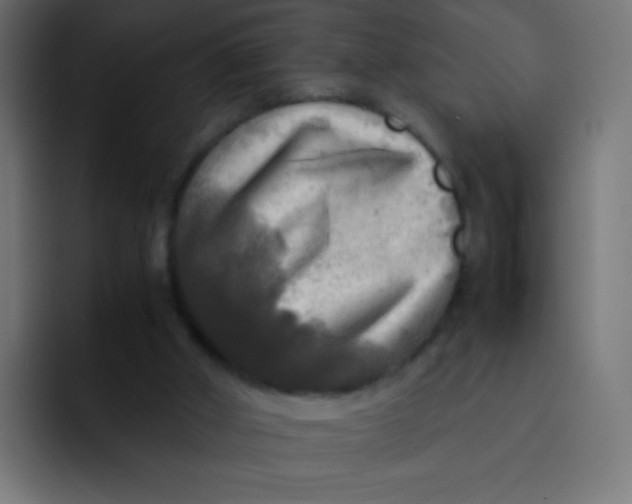 X0000092090010200710031202