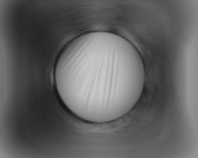 X0000092090011200710031202