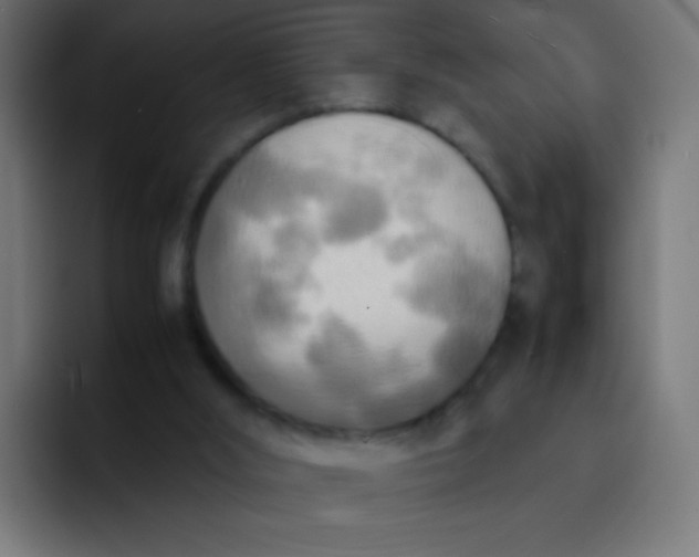 X0000092090012200710031202