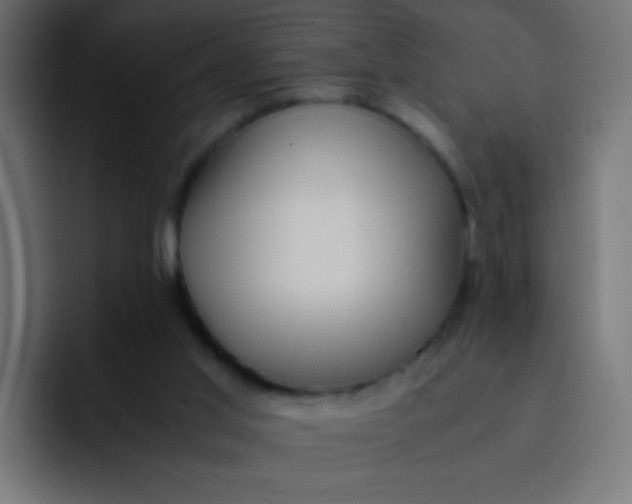 X0000092090013200710031202