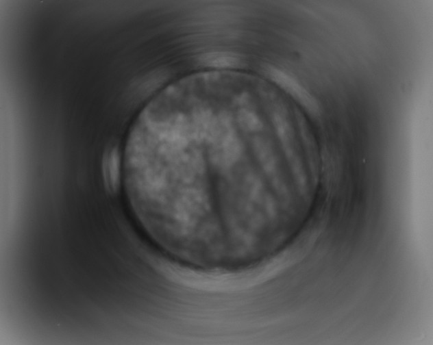 X0000092090014200710031202