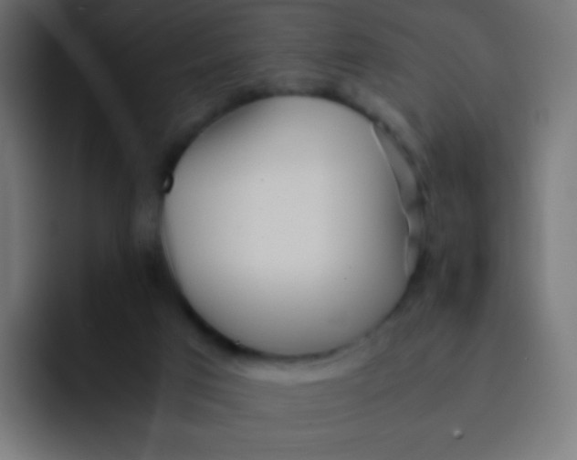 X0000092090017200710031202