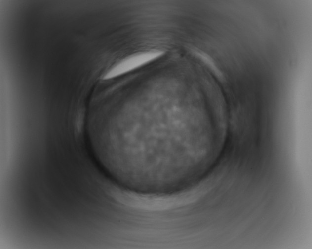 X0000092090018200710031202