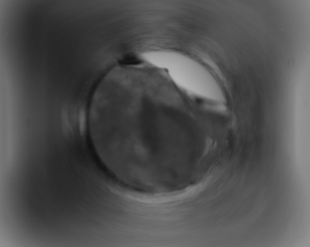 X0000092090019200710031202