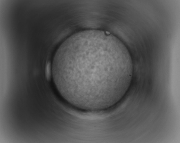 X0000092090020200710031202