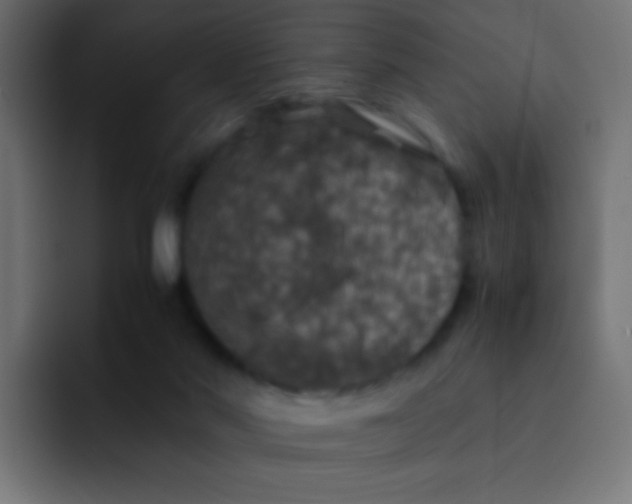 X0000092090022200710031202