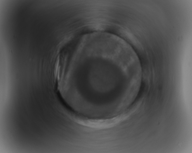 X0000092090023200710031202