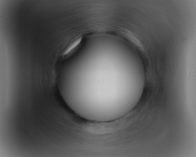 X0000092090025200710031202