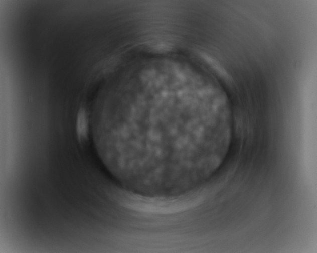 X0000092090026200710031202