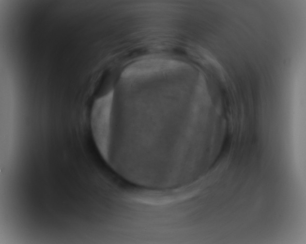 X0000092090029200710031202