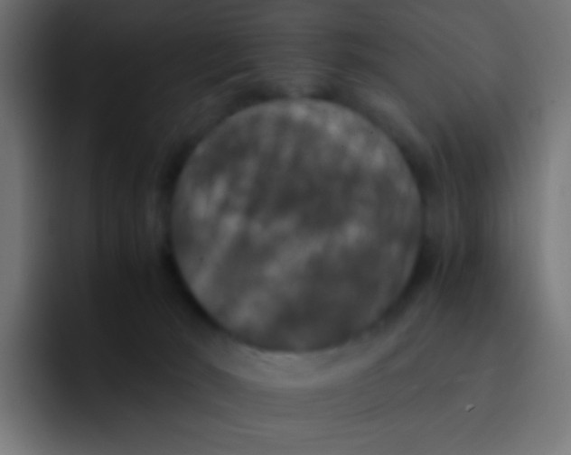 X0000092090030200710031202