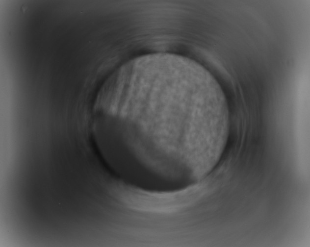 X0000092090031200710031202