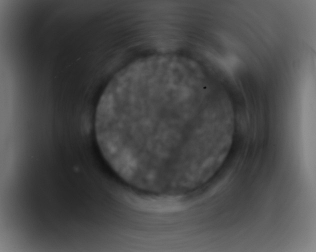 X0000092090032200710031202