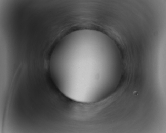 X0000092090033200710031202