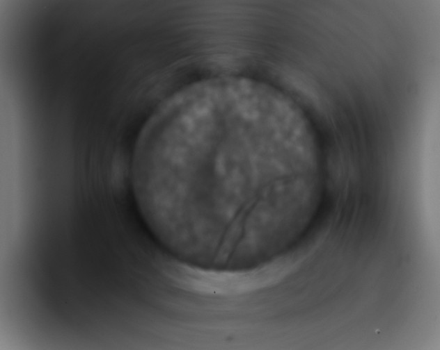 X0000092090034200710031202