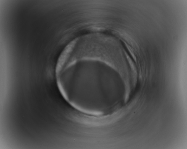 X0000092090035200710031202