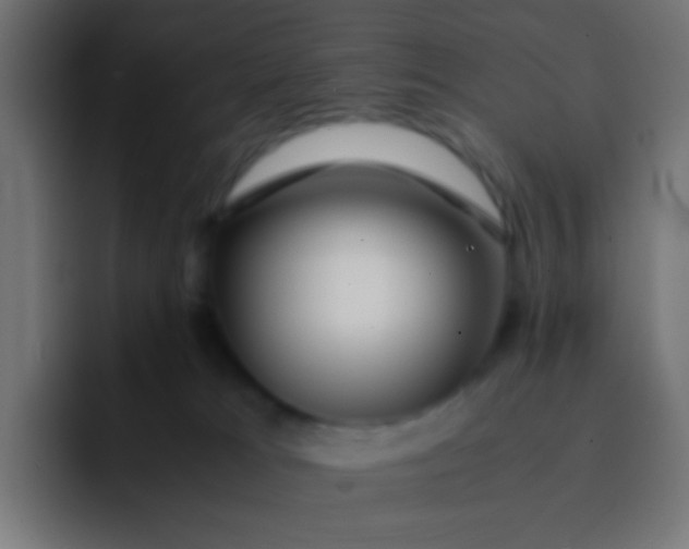 X0000092090037200710031202